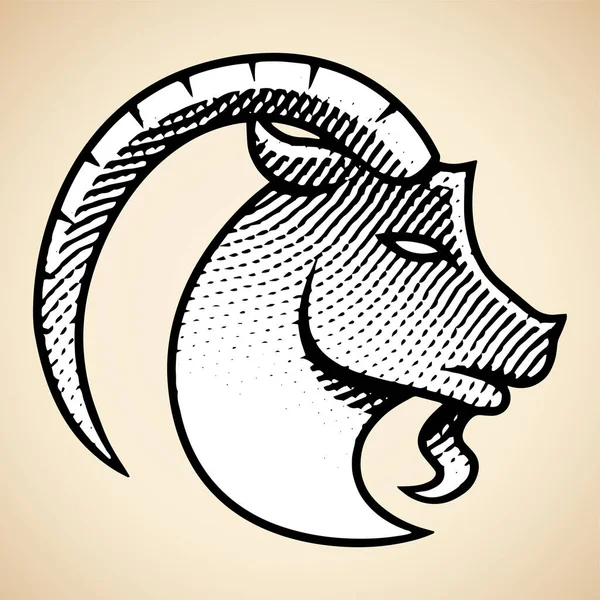 Ilustração Scratchboard Engraved Goat Com Preenchimento Branco Isolado Fundo Bege — Fotografia de Stock