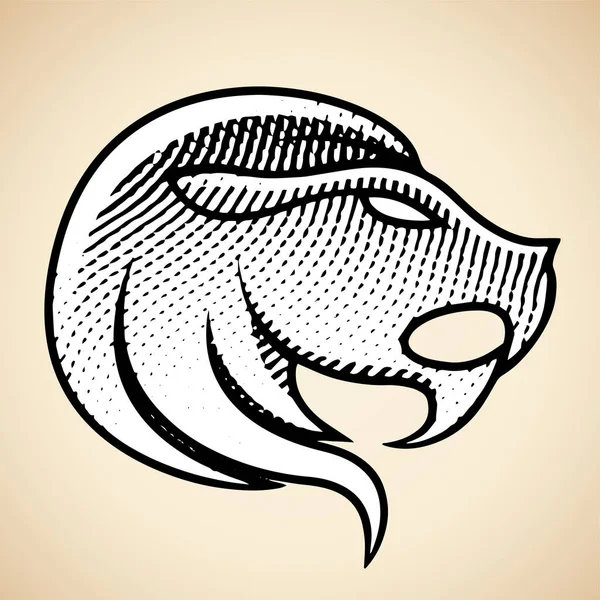 Ilustração Scratchboard Leão Gravado Com Preenchimento Branco Isolado Fundo Bege — Fotografia de Stock