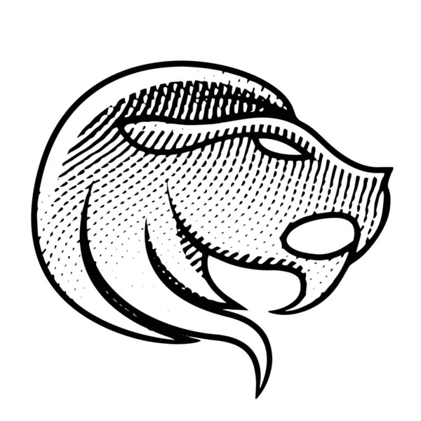 Ilustração Scratchboard Leão Gravado Isolado Fundo Branco — Fotografia de Stock