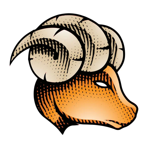 Ilustração Scratchboard Engraved Ram Profile View Com Preenchimento Colorido Isolado — Fotografia de Stock