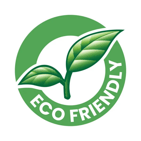 Przyjazna Dla Środowiska Grawerowana Ikona Zielonymi Liśćmi Białym Tle — Wektor stockowy