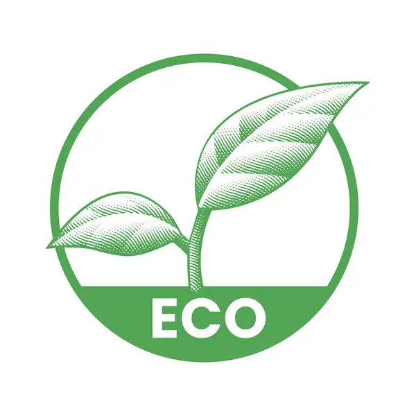 Umweltfreundliche Eingravierte Ikone Mit Blättern Auf Weißem Hintergrund — Stockvektor