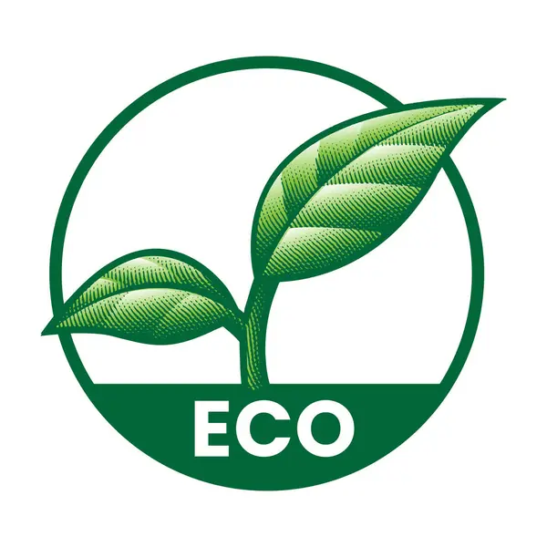 Icône Gravée Écologique Avec Feuilles Vertes Ombragées Sur Fond Blanc — Image vectorielle