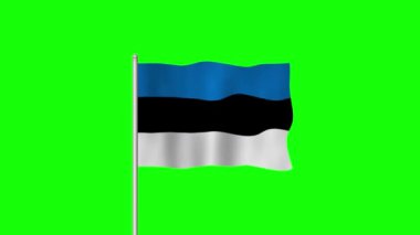 Ulusal Estonya Bayrağı Yeşil Ekranda Dalgalanıyor