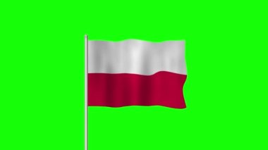 Polonya Ulusal Bayrağı Yeşil Ekranda Dalgalanıyor
