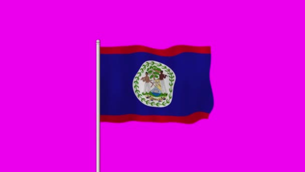 Государственный Флаг Белиза Машет Фиолетовом Экране — стоковое видео