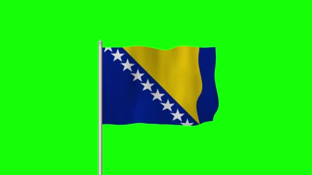 Bandeira Nacional Bósnia Herzegovina Acenando Uma Tela Verde — Vídeo de Stock