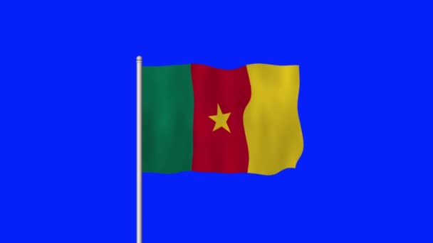 Národní Vlajka Kamerunu Vlnící Modré Obrazovce — Stock video