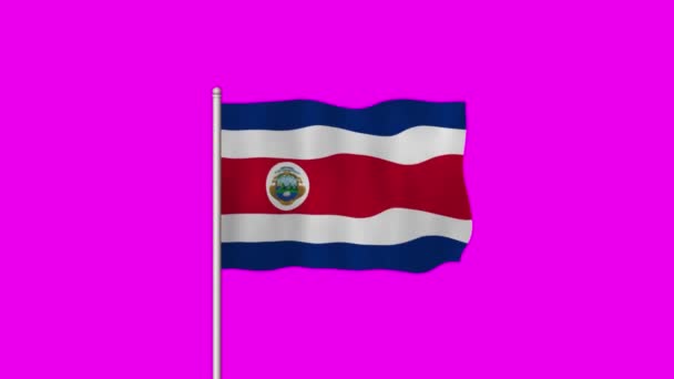 Bandiera Nazionale Del Costa Rica Sventola Uno Schermo Viola — Video Stock