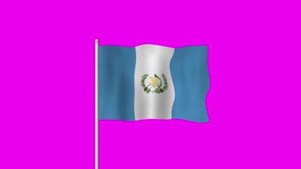 危地马拉国旗在紫色屏风上飘扬 — 图库视频影像
