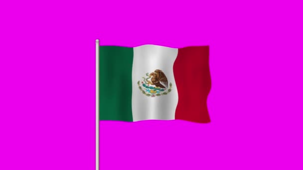 Nationell Flagga Mexiko Viftar Lila Skärm — Stockvideo