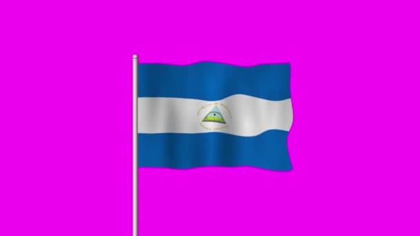 ニカラグアの国旗が紫色のスクリーンに残っている — ストック動画