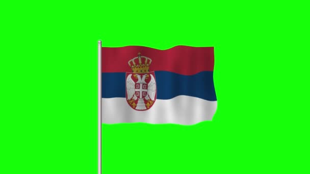 Drapeau National Serbie Agitant Sur Écran Vert — Video