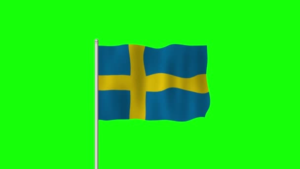 Bandeira Nacional Suécia Acenando Uma Tela Verde — Vídeo de Stock