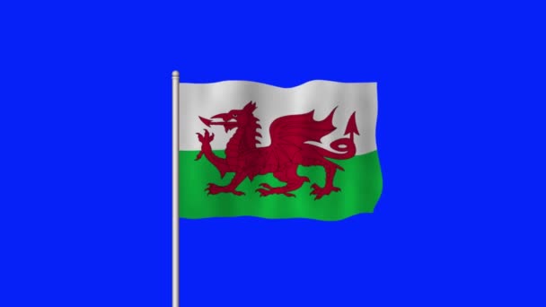 威尔士国旗在蓝屏上飘扬 — 图库视频影像