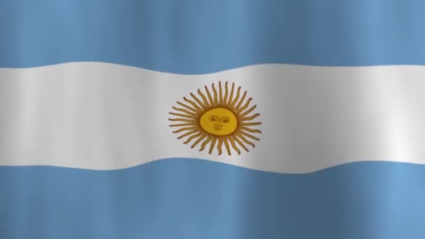 Macha Flaga Narodowa Argentyny Cieniami — Wideo stockowe