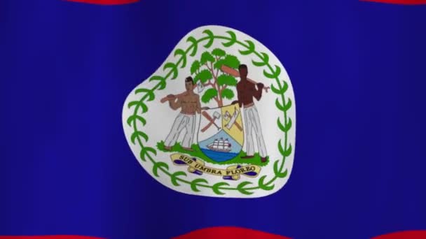 Acenando Bandeira Nacional Belize Com Sombras — Vídeo de Stock