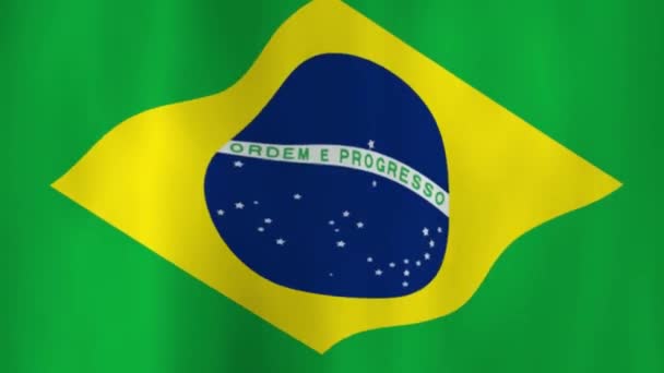 Macha Narodowa Flaga Brazylii Cieniami — Wideo stockowe