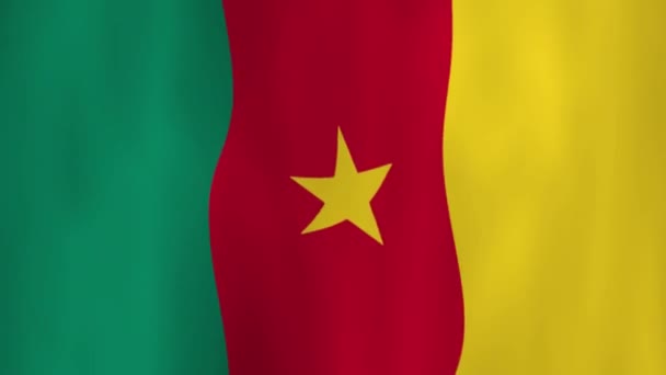Прапор Камеруну Тінями — стокове відео
