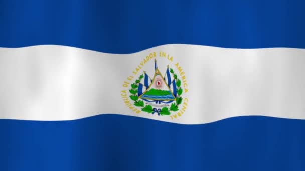 Salvador Nemzeti Zászlójának Lobogtatása Árnyékokkal — Stock videók