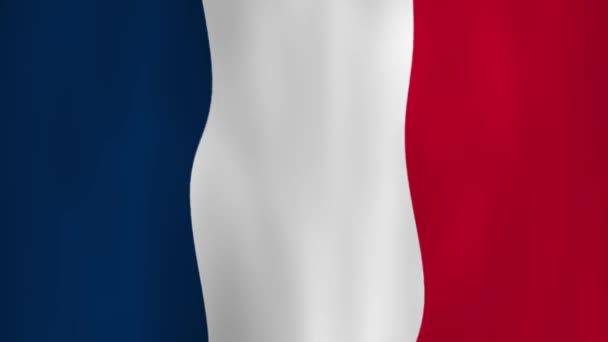 Waving National Flag France Shadows — Stock Video
