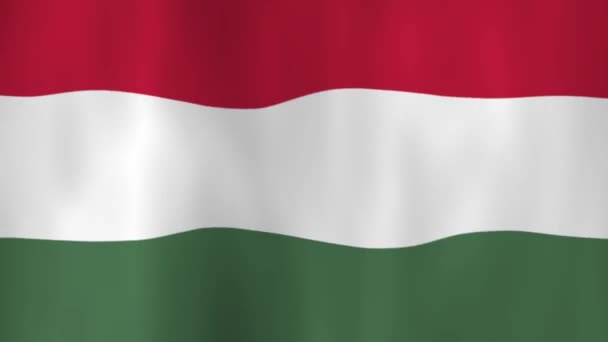 Ondeando Bandera Nacional Hungría Con Sombras — Vídeos de Stock