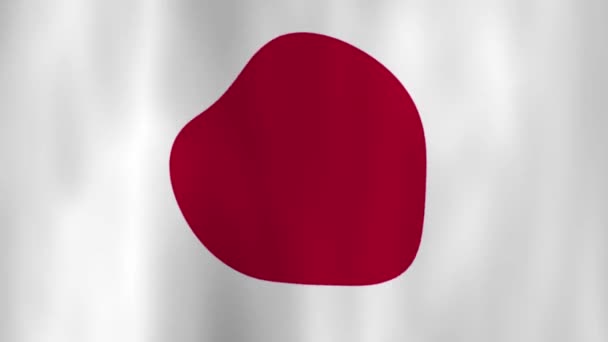 Waving National Flag Japan Shadows — Stock Video