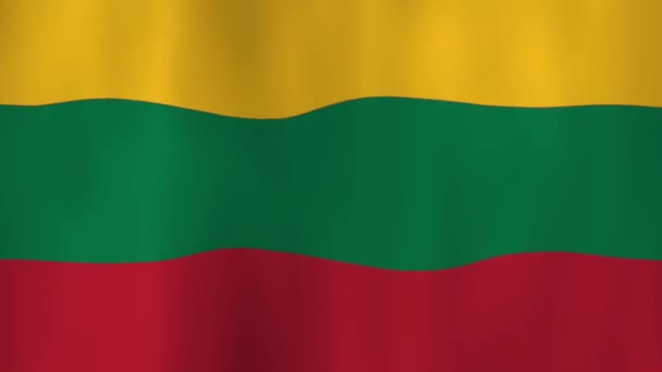 Litvánia Nemzeti Zászlajának Lobogtatása Árnyékokkal — Stock videók