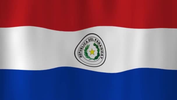 Vinka Nationalflagga Paraguay Med Skuggor — Stockvideo