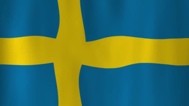 Ожидании Сборной Швеции Тенями — стоковое видео