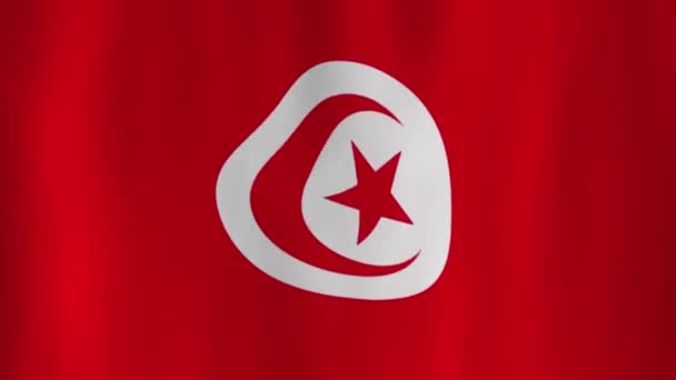 Drapeau National Tunisie Ondulé Avec Des Ombres — Video