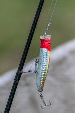 Asya levreği ya da Barramundi için yüzey tipi balık yemi