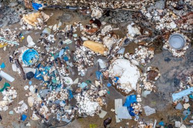 Mikroplastikler okyanus ve su yaşamına zararlı küçük plastik parçalardır..