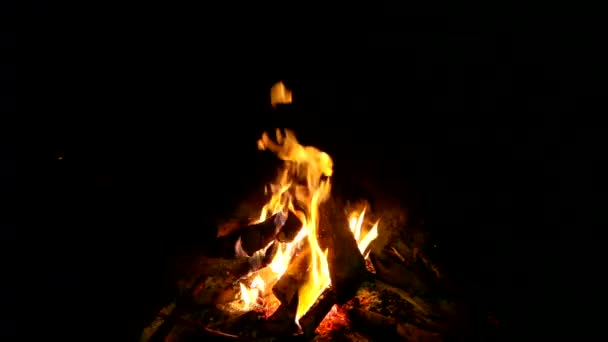 Winter Bonfire Cozy Fire Fireplace Village House Wood Holm Oak — Video