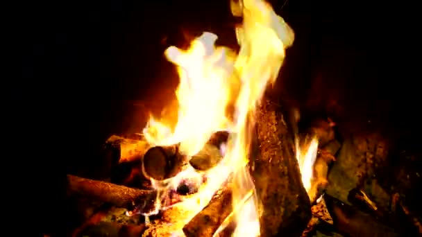 Winter Bonfire Cozy Fire Fireplace Village House Wood Holm Oak — Stockvideo