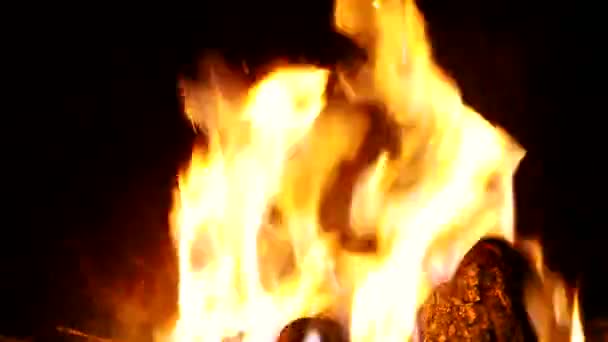 Winter Bonfire Cozy Fire Fireplace Village House Wood Holm Oak — Vídeos de Stock