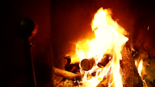 Kış Şenlik Ateşi Köy Evinde Sıcacık Şömine Şömine Meşe Ağacı — Stok video