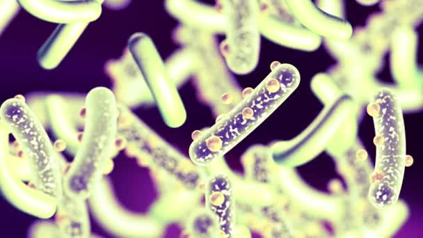 微生物と細菌生物学と科学的背景ウイルスや感染細胞の顕微鏡像 — ストック動画