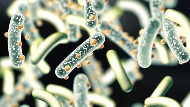 Mikrobakteriler Bakteriyel Organizmalar Biyoloji Bilim Arka Planı Bir Virüsün Mikroskobik — Stok video