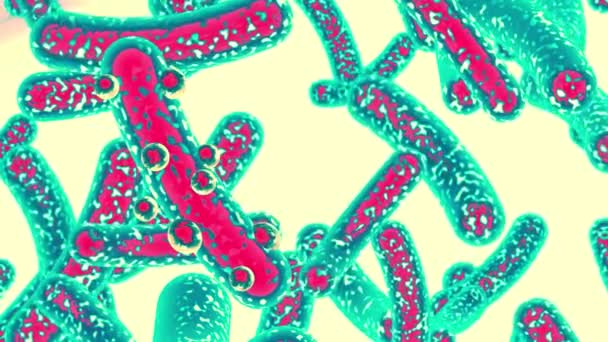 微生物和细菌器官 生物学和科学背景 病毒或感染细胞的显微图像 — 图库视频影像