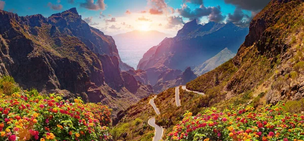 风景秀丽的山景 仙人掌 植被和日落全景 加那利群岛 特内里菲岛 西班牙 — 图库照片
