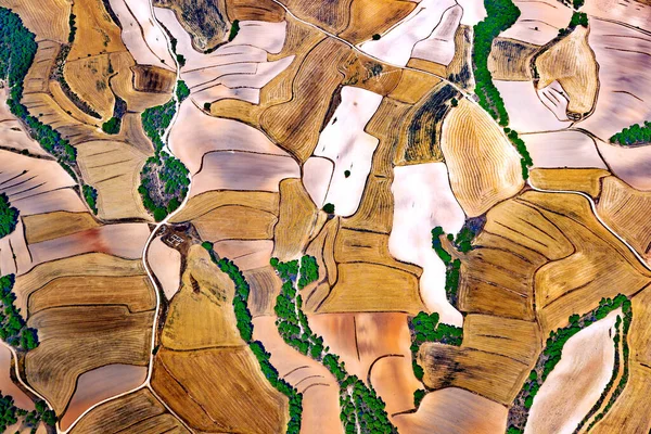 aerial photography wheat and agricultural.Aerial view of the cultivated and mowed cereal fields.