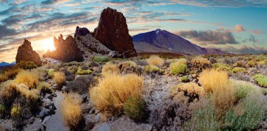 Doğa volkanik manzarası. İspanya 'da dönüm noktası. Kanarya adasında Teide volkanı..
