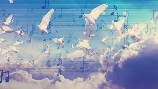空を飛ぶ鳩の抽象的な背景 抽象音楽シートのミュージカルノートとミュージカルサイン ソングとメロディコンセプト 音楽背景デザイン 音楽ライティング ストックフォト