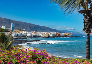 Tenerife 'deki Puerto de la cruz köyünün gün batımı manzarası.