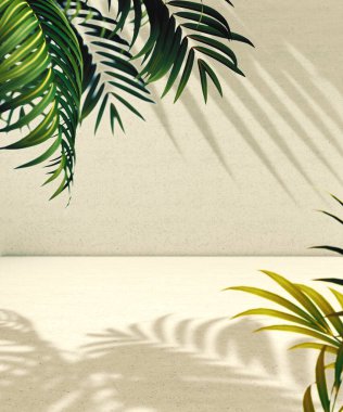 Boş zemin ve duvar arkaplanı güneş ışığı ve bitki gölgeleriyle aydınlatılıyor..