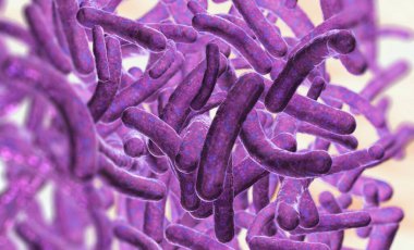 Bir virüsün ya da bulaşıcı hücrenin mikroskobik görüntüsünün 3 boyutlu çizimi.