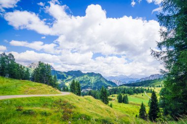 Yazın yeşil çayırları ve çam ağaçları olan dağ manzarası