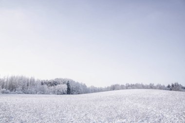 Kış manzarası karla kaplı tepeler ve arka planda bir orman