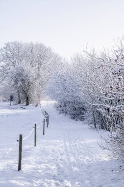 Kış patikası karla kaplı, yanında ağaçlar ve çitler var.
